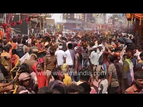 Large Holi crowd gathering during celebrations in Barsana Uttar Pradesh