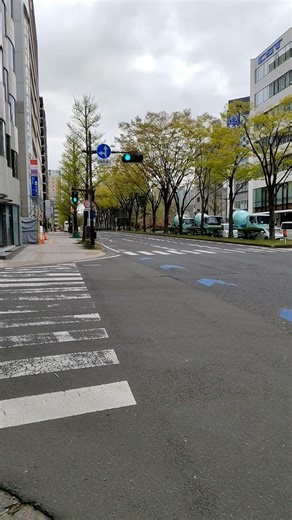 Japan Traffic Lights: The Most Disciplined Driving Ever 🚗🇯🇵 #banglavlogjapanlife
