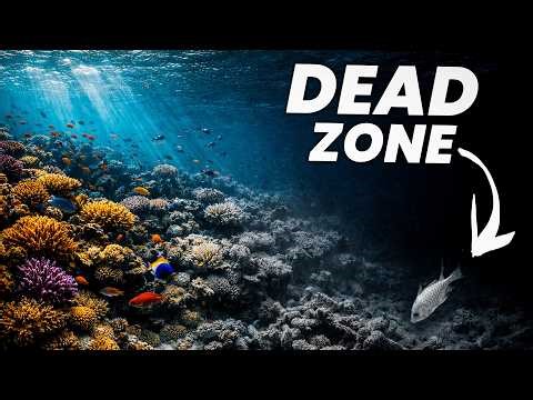 Why The Ocean Is Running Out of Oxygen