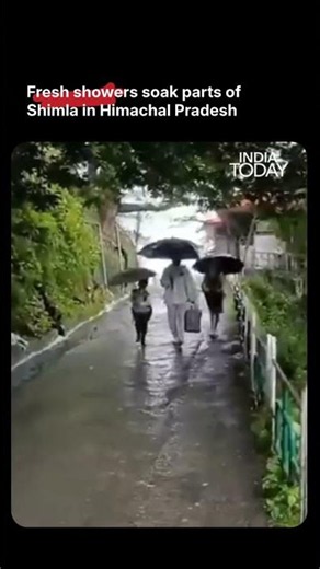 Fresh Rains Bring Relief, Scenic Beauty Back To Shimla | Himachal Pradesh | Monsoon