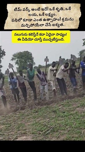 The Ultimate Power of Teamwork: Farming Together! #trendingreels #viralvideo #farming#shortsfeed
