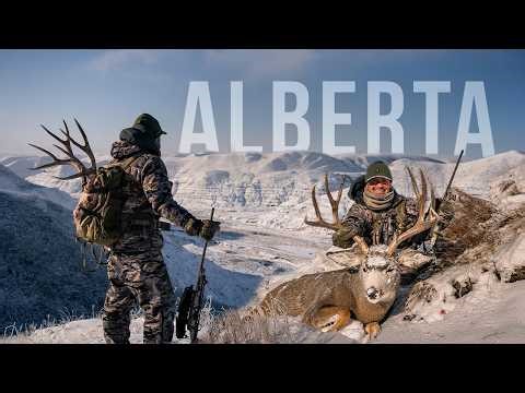Mule Deer Spot & Stalk in FREEZING Conditions
