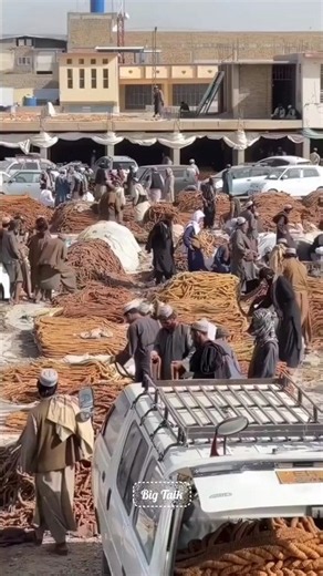 Why Do Afghans Press Dried Figs Into These Strange Discs? 🤯🍈 #shorts