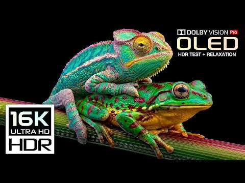 Best Nature 16K HDR 240FPS | OLED HDR Test Dolby Vision | 8K Video ULTRA HD (8K/4K TV)