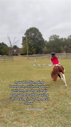 Always Amazing😍 #horse #equestrian #horseriding #viralshorts #fyp #trending #amazing #cute