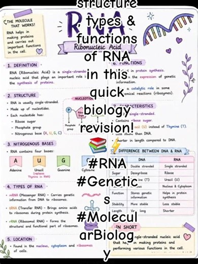 🧬 RNA Explained! 🔬✨