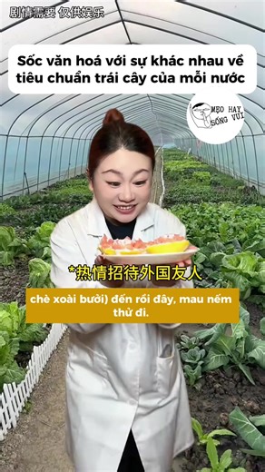 Khám Phá Tiêu Chuẩn Trái Cây Ở Tây Ban Nha