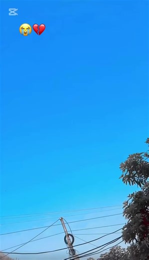 Hilarious Fails and Funny Moments Caught on Camera