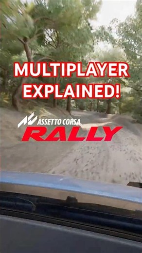 Assetto Corsa Rally: Multiplayer EXPLAINED ✅