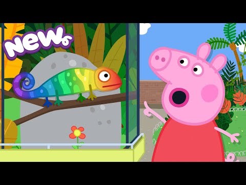 Peppa Pig Tales 2026 🦎 ESCAPE From the Zoo 🌿 Camouflaged Chameleon 🫥 BRAND NEW Peppa Pig Episodes