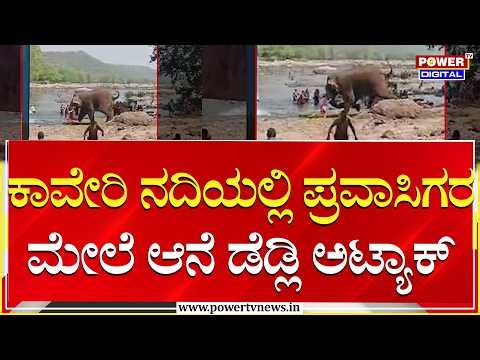 Elephant Attack : ಕಾವೇರಿ ನದಿಯಲ್ಲಿ ಪ್ರವಾಸಿಗರ ಮೇಲೆ ಆನೆ ಡೆಡ್ಲಿ ಅಟ್ಯಾಕ್​​ | Ramanagara | Power TV News