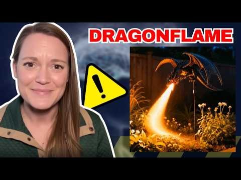 Shirem DragonFlame – Review, Benefits, and What to Know Before Buying