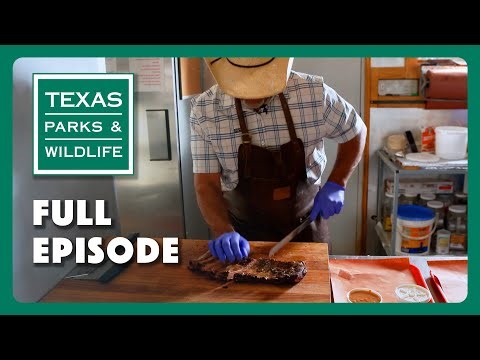 Baffin Bay, Palmetto State Park, Living with Bears | Texas Parks & Wildlife Series (Full Episode)