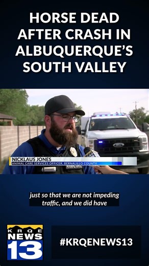 Horse dead after crash in Albuquerque's South Valley