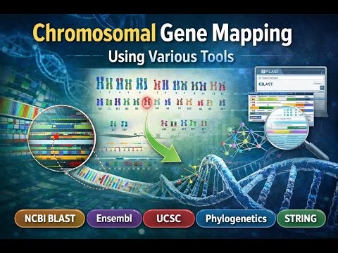 Chromosomal Gene Mapping Using Various Bioinformatics Tools | Step-by-Step Genome Analysis