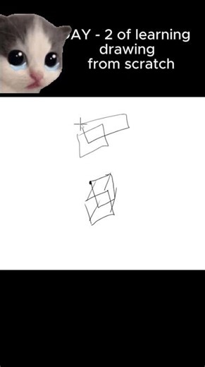 #anime learning animation