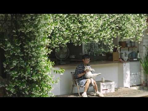 8 Years to a Floral Explosion! Welcome to My Fairytale Spring Garden