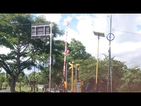 Stop.!! Hati2 ada kereta api ijen ekspres di perlintasan