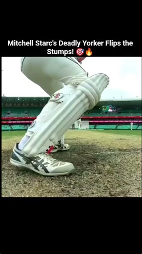 Starc's deadly yorker sends the stump flying! 🔥🎯 #Cricket #Shorts #MitchellStarc