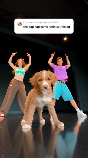 Puppy Dance Class! 😱🐶 #puppy #dance #viral