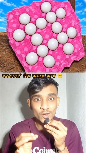 How Many Eggs? 🥚 #shorts #shortvideo #shortsfeed