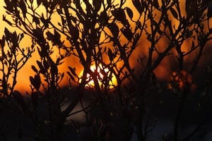 From Sun to Showers: Windsor‑Essex Weather Turns Unsettled After Today