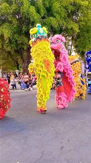 Barongsai Warna-Warni Atraksi Barongsai Acrobatic Lion Dance Hari Santri 2026 Yogyakarta