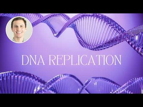 DNA Replication