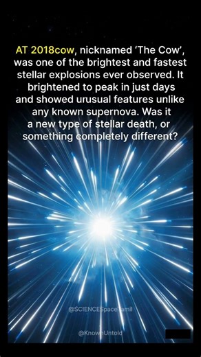 The Cow: The "Impossible" Explosion That Defied Physics