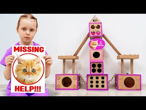 Finding the Lost Kitty: Building a Cozy Cat House with Vania Mania Kids