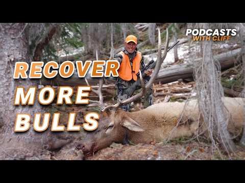 Tracking 100's of Animals - What We Learned