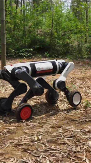 🚀 Introducing Lynx M20S — The Next-Generation All-Terrain Champion！