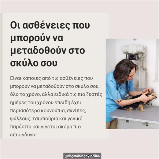 Πως προστατεύεις το σκύλο σου από παράσιτα έντομα κ ζωύφια? #dogtraining #σκύλος #κουτάβι #doghealth