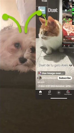 Alien dog