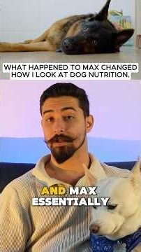 Max’s Story Changed How I Think About Dog Longevity