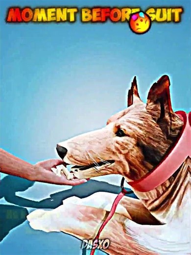 Power of Jesus...✝️❤️‍🩹🐕