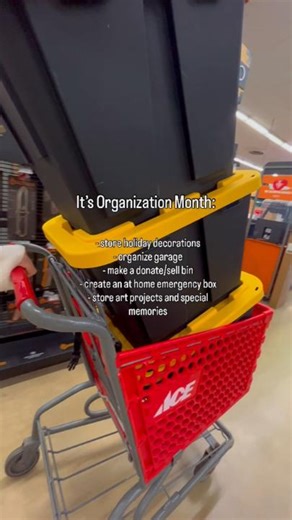 Today is the last day to take advantage of our flash sale! This storage tote is just $7.99! Buy online, pick up in store here: https://bit.ly/4oJLzio | Ace Hardware