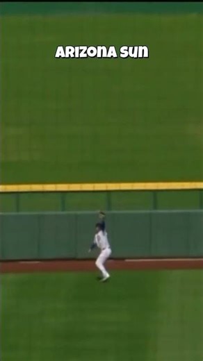 Baseball Highlights 🧢🥎#baseball #mlb #funny #usaus #fast