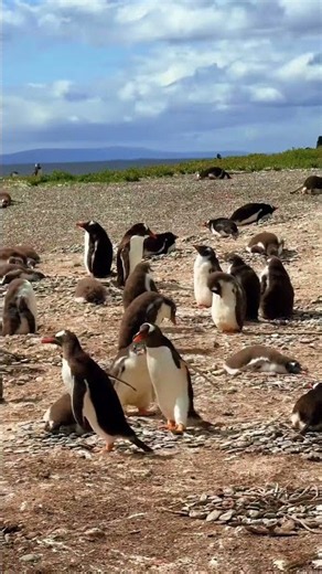 Ushuaia is a must visit on any Patagonia Itinerary!