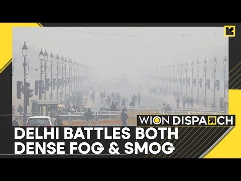 Delhi AQI: Several Monitoring Stations Report High Pollution Levels | WION Dispatch