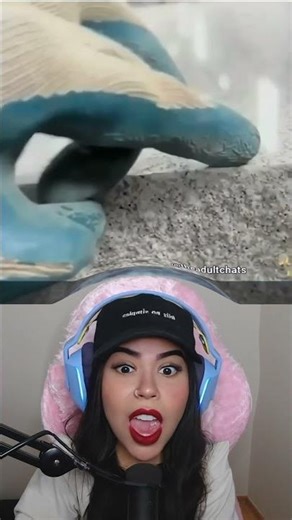 Como Pegar Uma Mosca #shorts