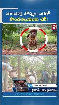 మాంసపు బొమ్మల ఎరతో కొండచిలువలకు చెక్! | Tuni 3 Years Girl Missing Case Update | RTV
