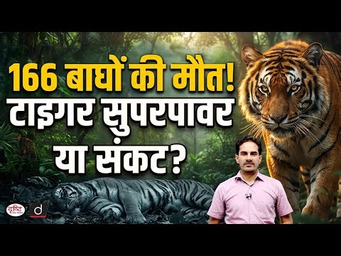Why Are More Tigers Dying in India? | Current Affairs | Drishti IAS