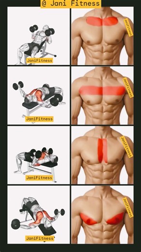 🔥 Complete Chest Workout with Dumbbells: Upper, Middle, Inner & Lower Chest! #ChestWorkout