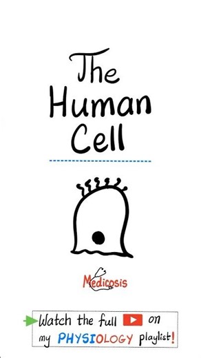 Animal Cell - Human Cell - Biology and Physiology....#biology #education #science #chemistry