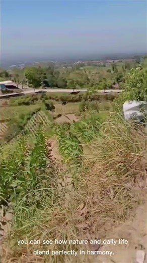 "The Beauty of Boyolali Highlands, Central Java 🇮🇩"