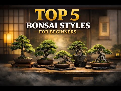 Top 5 Bonsai Styles for Beginners