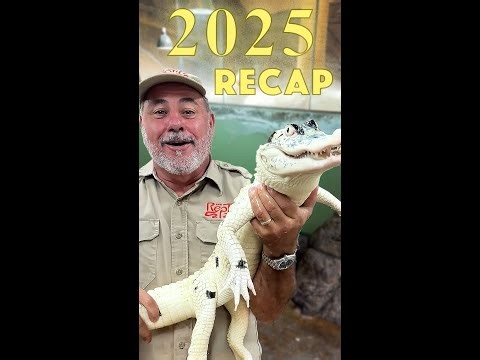 2025 was One Heck of a Year😳 Recap of the Year🥳