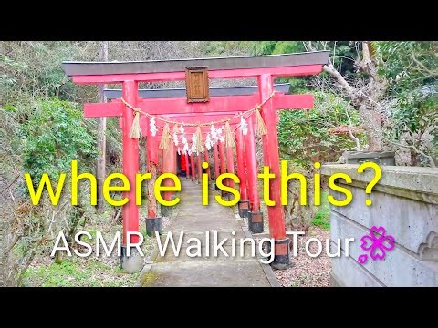 【ASMR】 Shrines and cherry blossoms...Beautiful! Where is this? 05:40〜Amazing spot