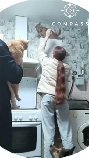 Cat Rescue Goes Wrong When Extractor Fan Breaks